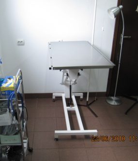 Consultatii veterinare